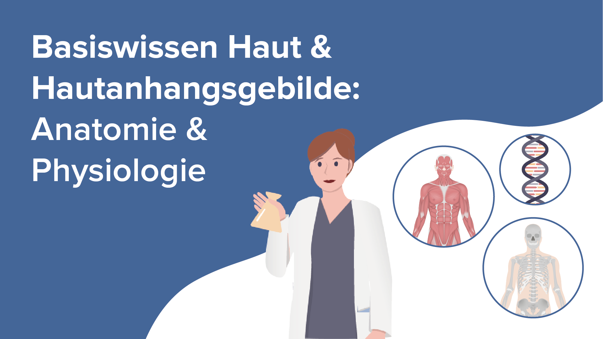 Epidermis Gliederung & Funktion Online Medizin Vortrag Lecturio