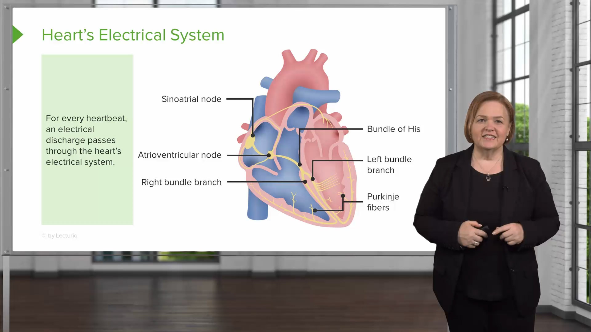 Cardiovascular Disorders - Med-Surg Nursing Video | Lecturio