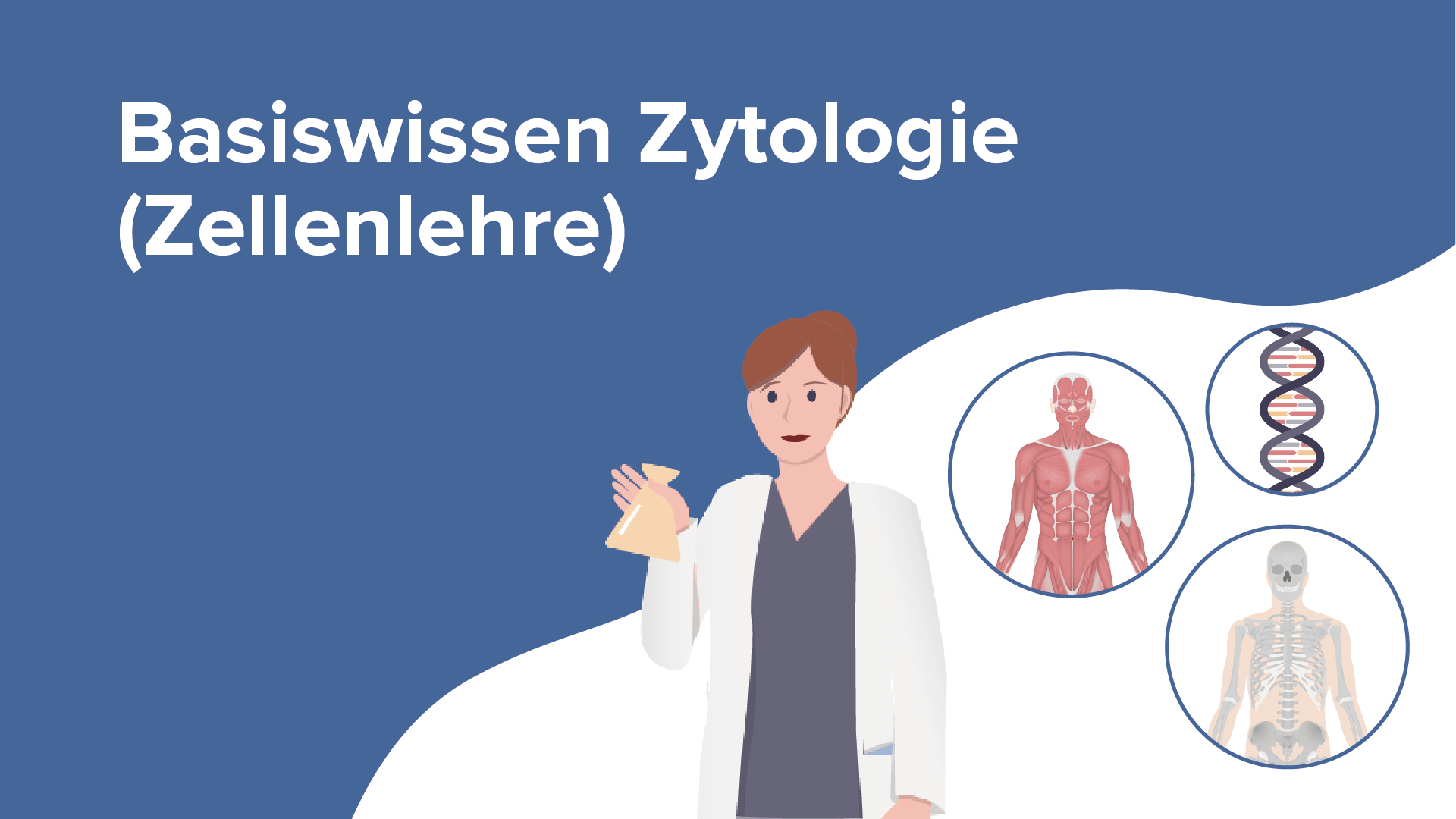 EndosomenLysosomenSystem Zusammenfassung Online Vortrag