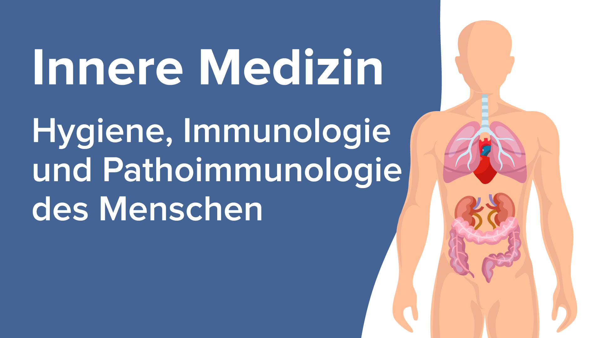 Immunologie Des Menschen | Online Lernen Mit Lecturio