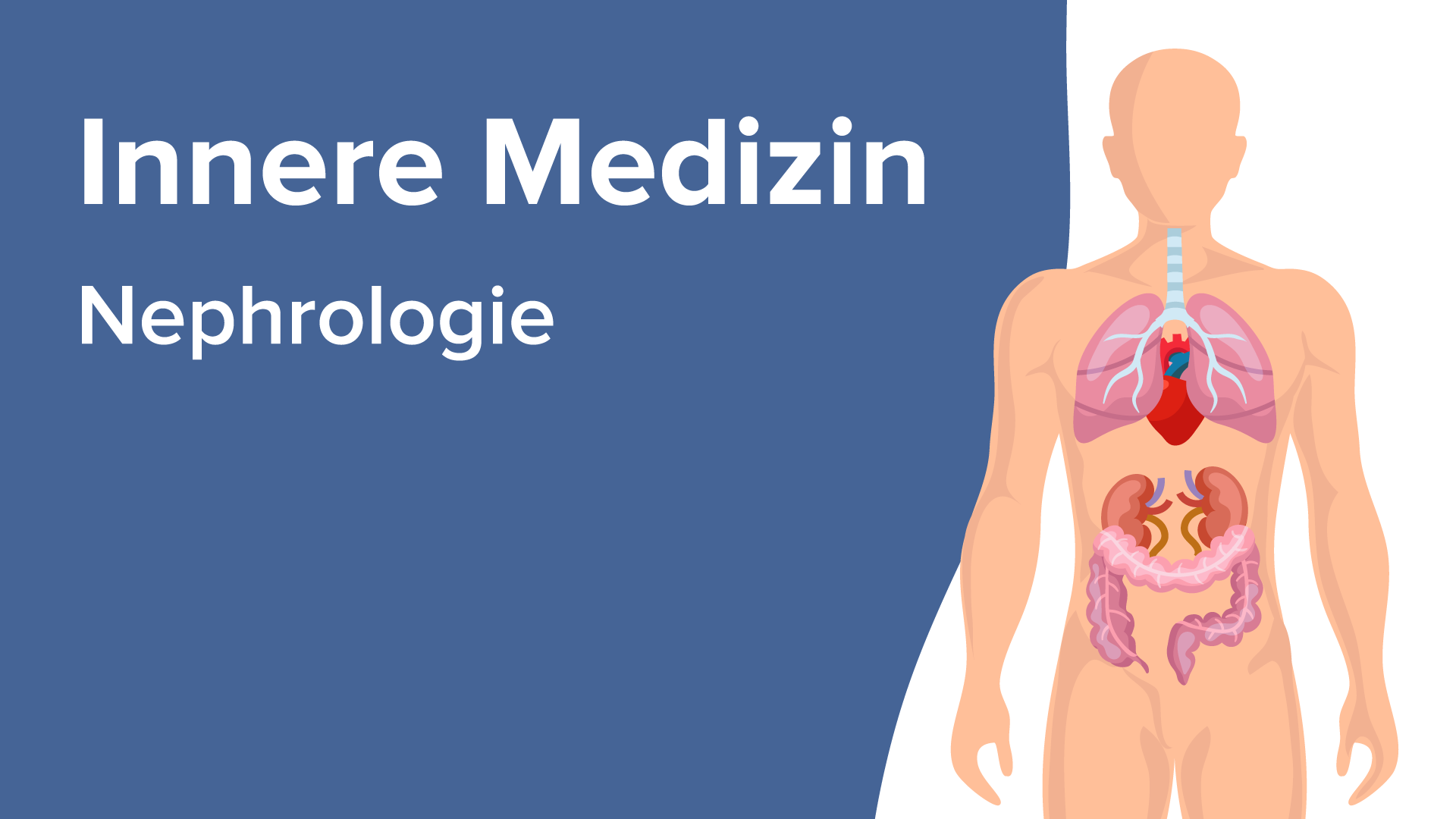 Nephrologie – Online Medizin Kurs  Lecturio