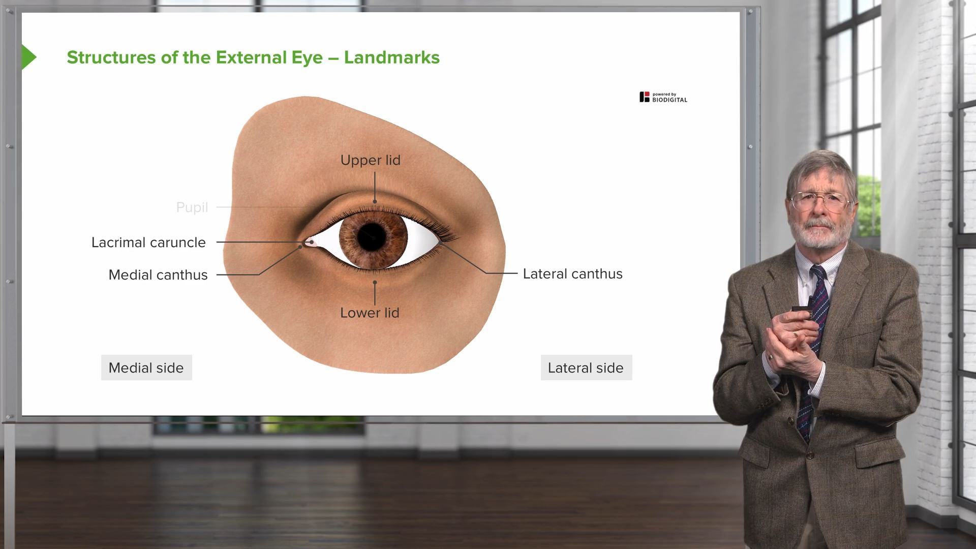 introduction-to-ophthalmology-online-pathology-course