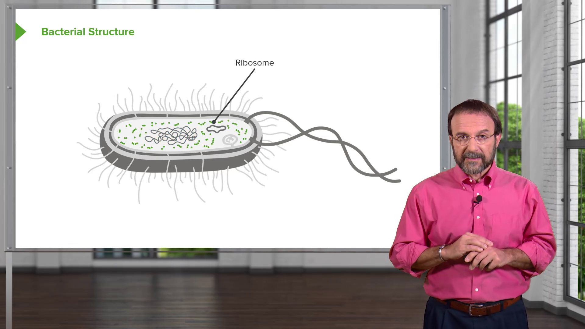 Microbiology Online Usmle Prep Course Start Now With Lecturio