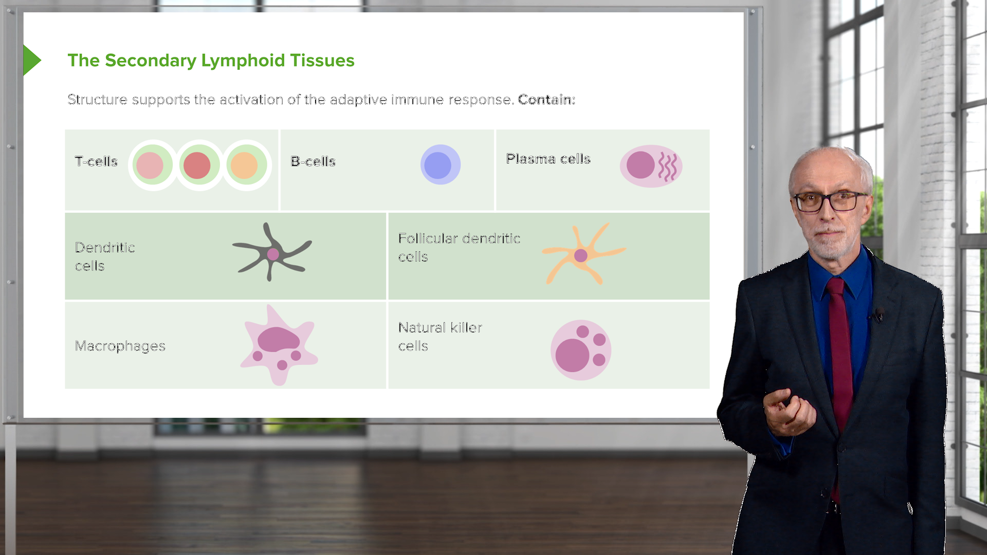 Main Pathways & Endogenous/Exogenous Antigens Online Lecture