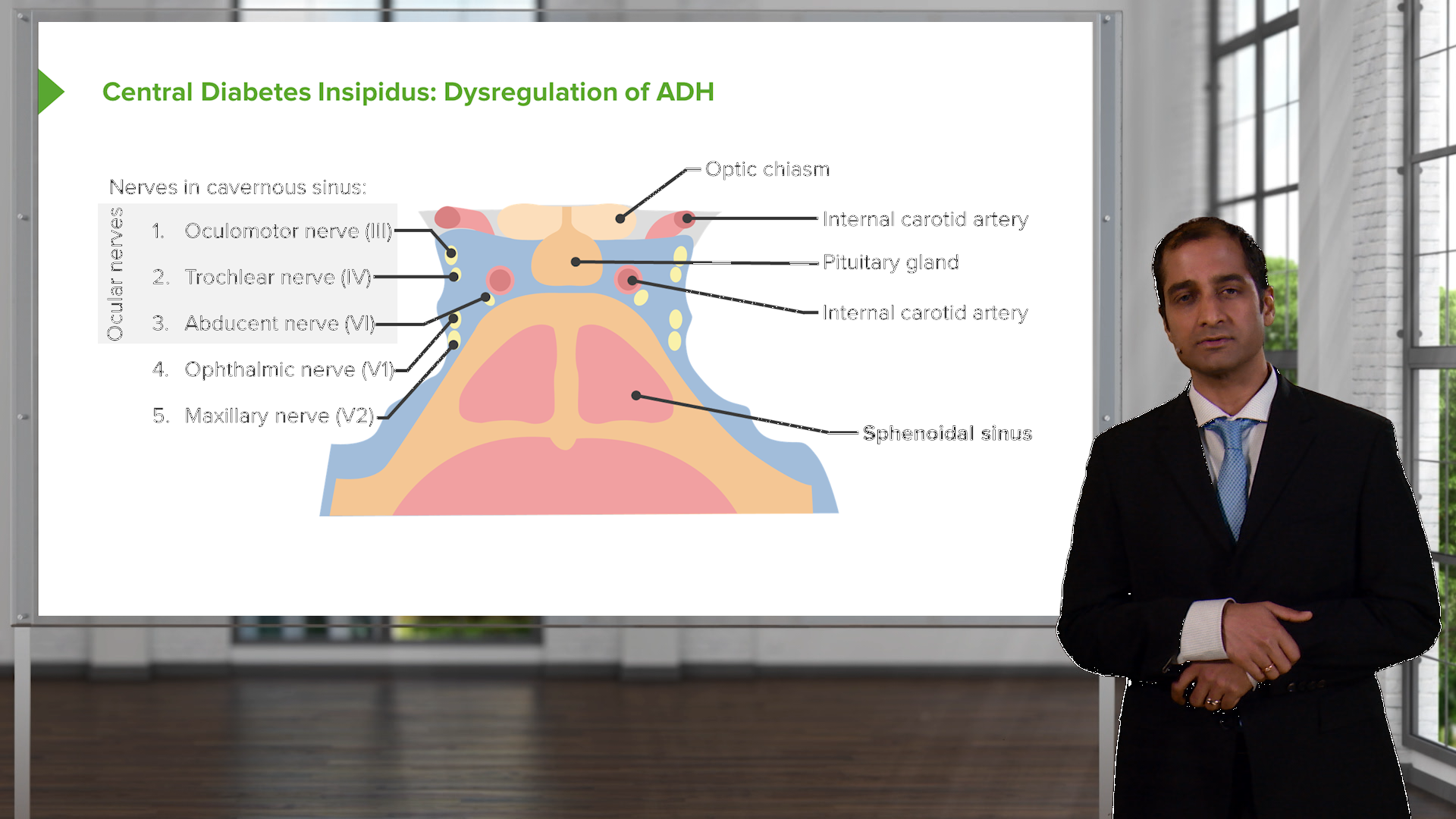 Pituitary Gland Disorders – Online Course | Lecturio