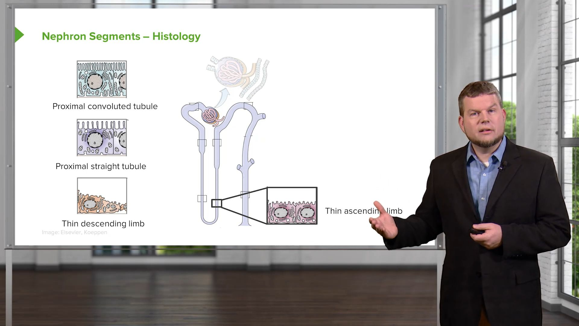 Renal Physiology Ebook