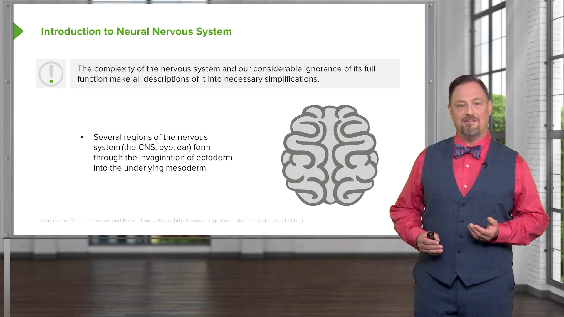 neurology online course