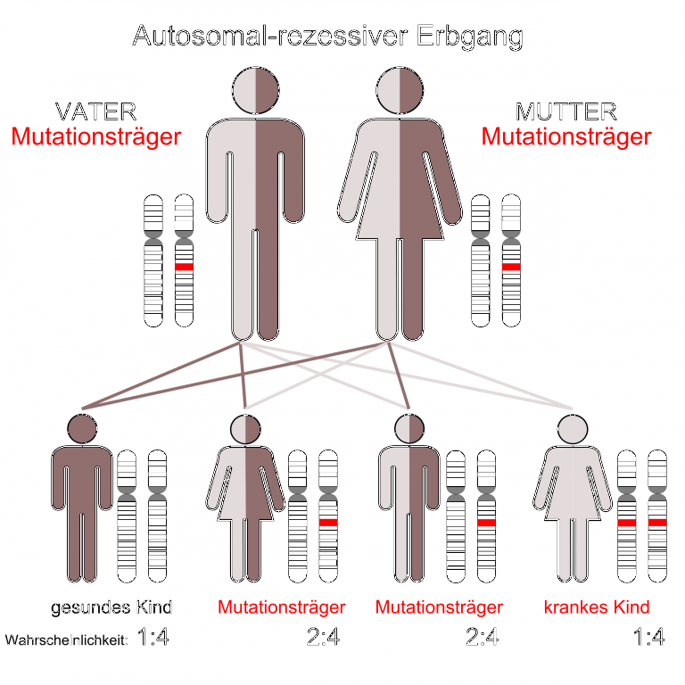 Vererbung | Medizin-Lexikon | Online Lernen mit Lecturio