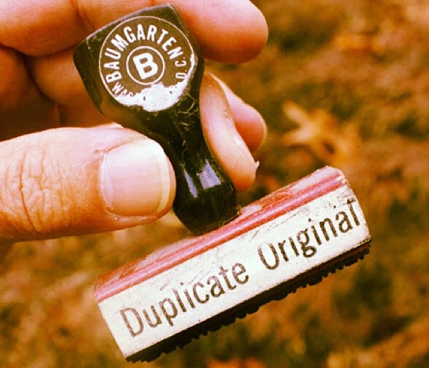 Duplicate - Plagiat