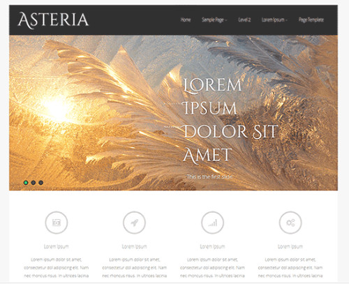 Theme Asteria Lite