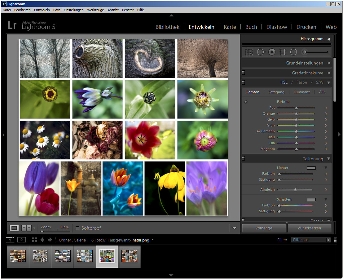 Photoshop Lightroom Die 8 Wichtigsten Features