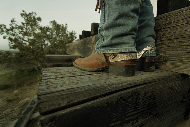 auf diesem bild sieht man cowboystiefel