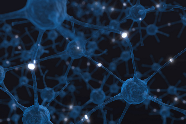 das-bild-zeigt-neuronen