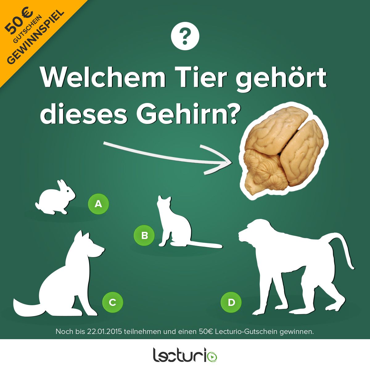 das ist ein quiz zu gehirnen von tieren