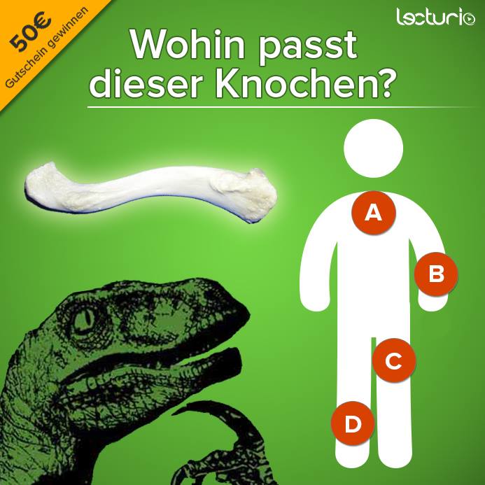 das ist ein quiz zu menschenknochen