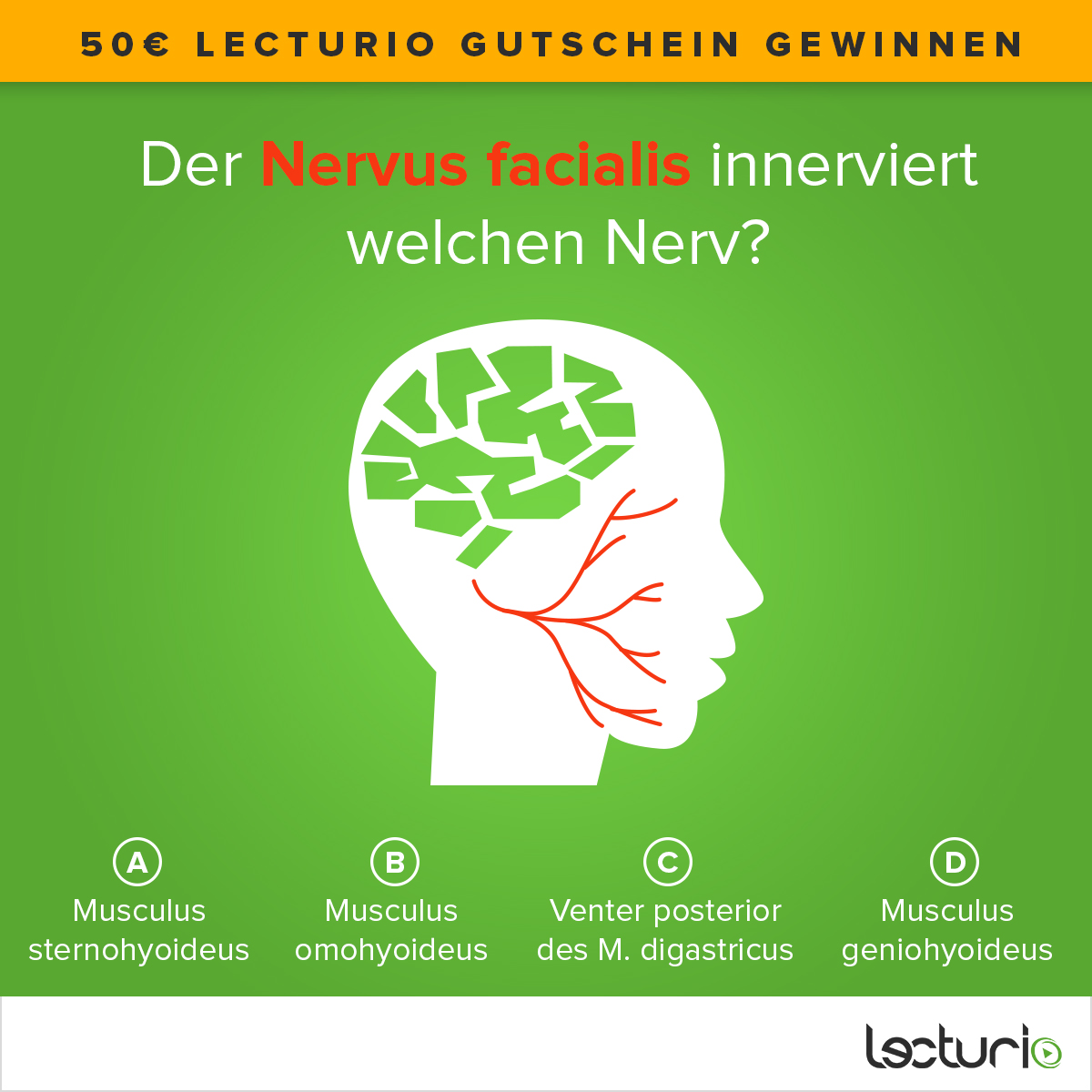 das ist ein quiz zu nerven im kopf