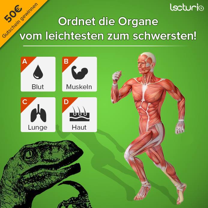 das ist ein quiz zu organen