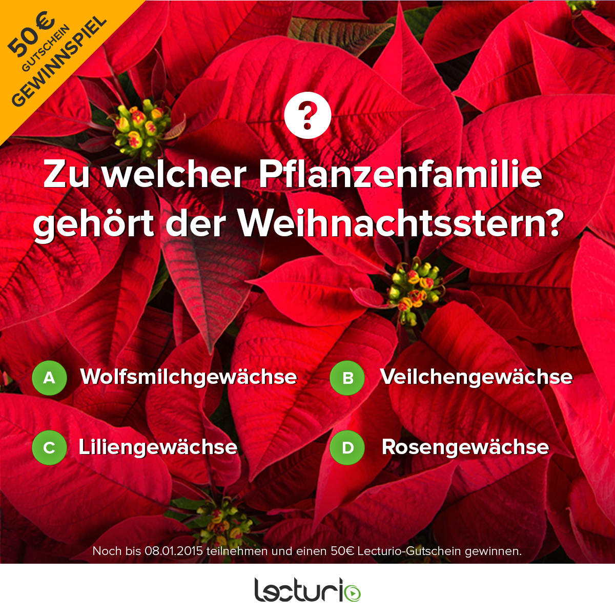 das ist ein quiz zum weihnachtsstern