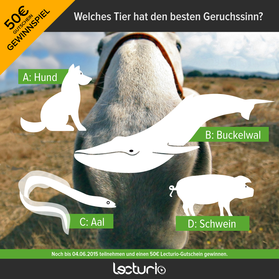 Quiz_Geruchssinn