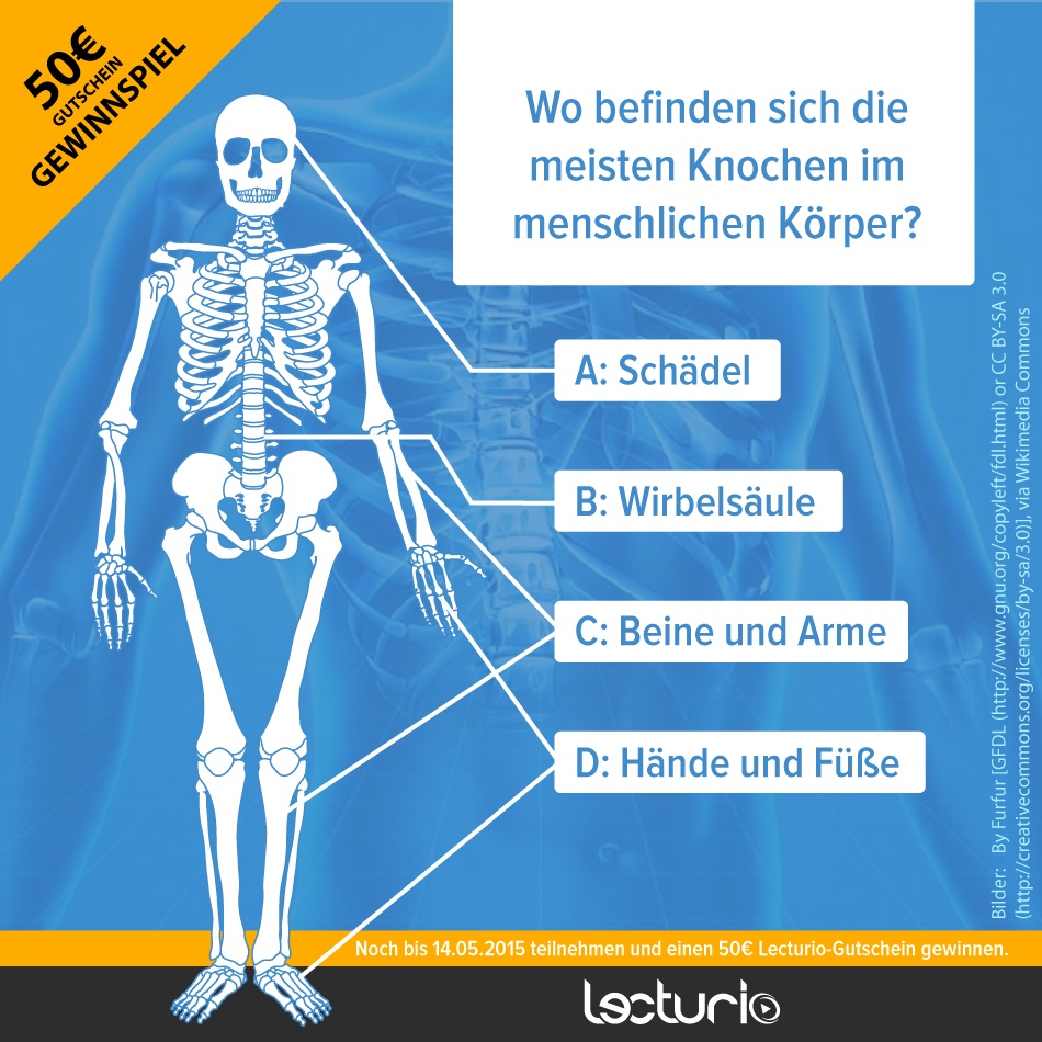 Quiz_Knochen_Facebook