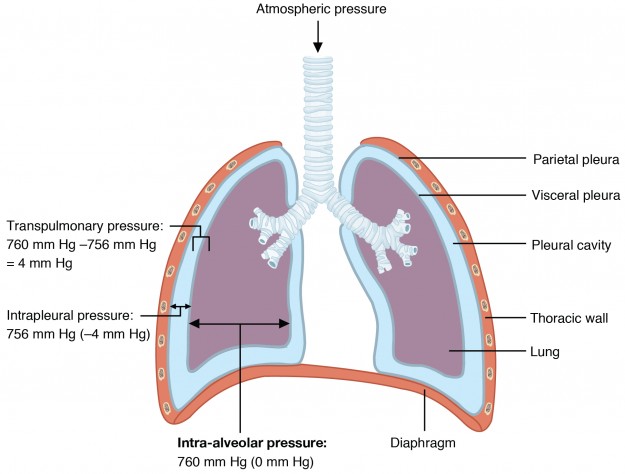 Druck in der Lunge