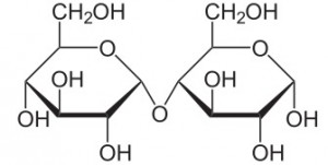 α-Glucose (1,4)- Glucose
