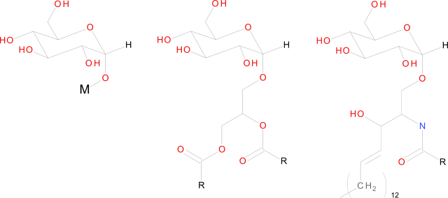 Glykolipide