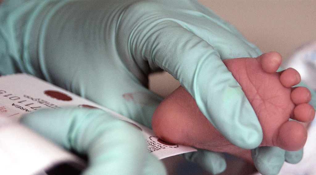 Fersenblutentnahme auf eine Filterpapierkarte für das Neugeborenenscreening