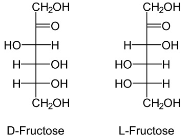 Fructose Aufnahme In Die Zelle Abbau Und Biosynthese