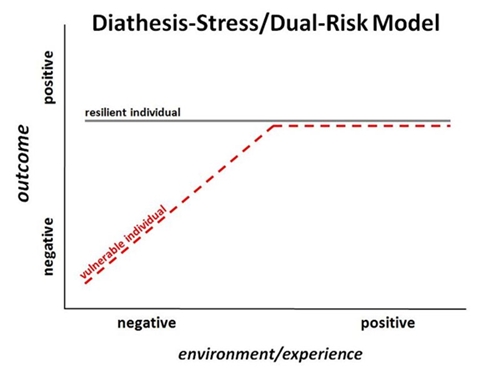 Vulnerabilitäts-Stress-Modell
