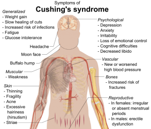 Symptome des Cushing Syndroms