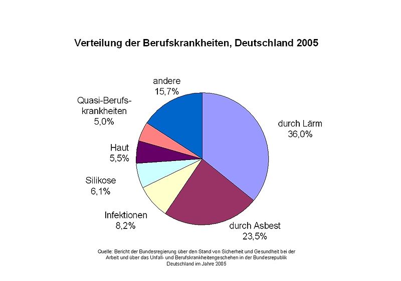 Berufskrankheitenverteilung 2005 in Deutschland