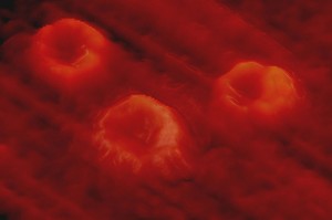 Lebensmittel, um das Blut zu verdünnen