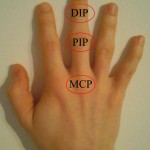 fingergelenke-der-hand