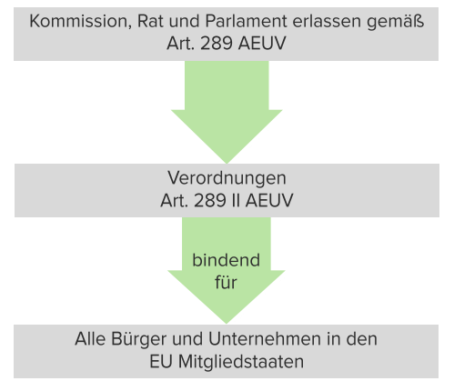 Wirkung der Verordnung gem. Art. 289 AEUV.