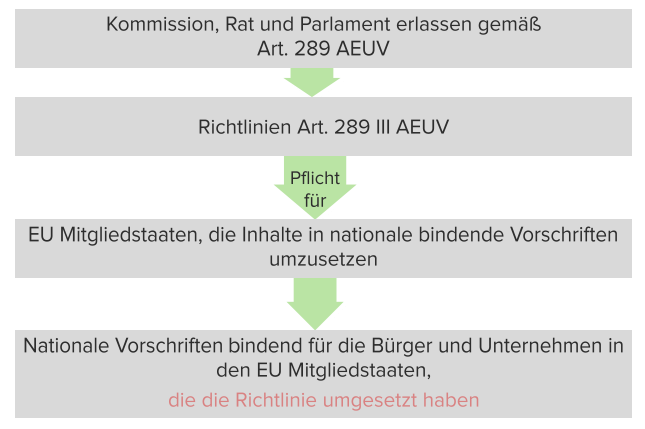 Die Richtlinie gem. Art. 289 III AEUV.