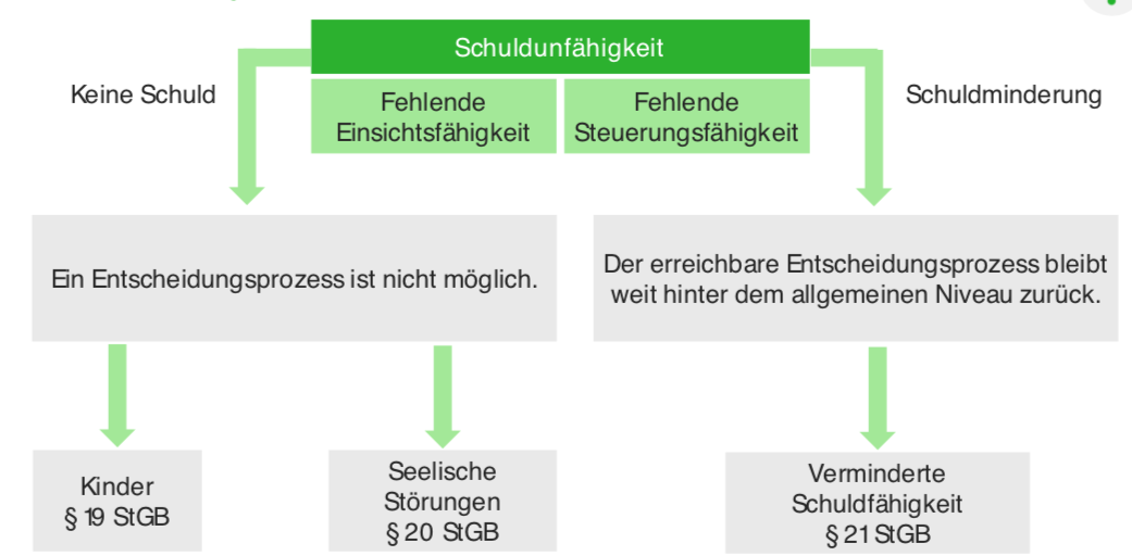 vollendete vorsätzliche Begehungsdelikt