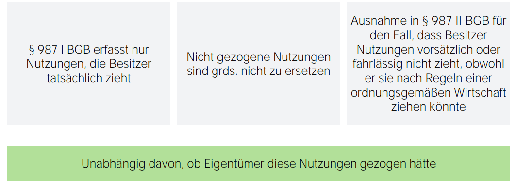 EBV Nutzungsersatz