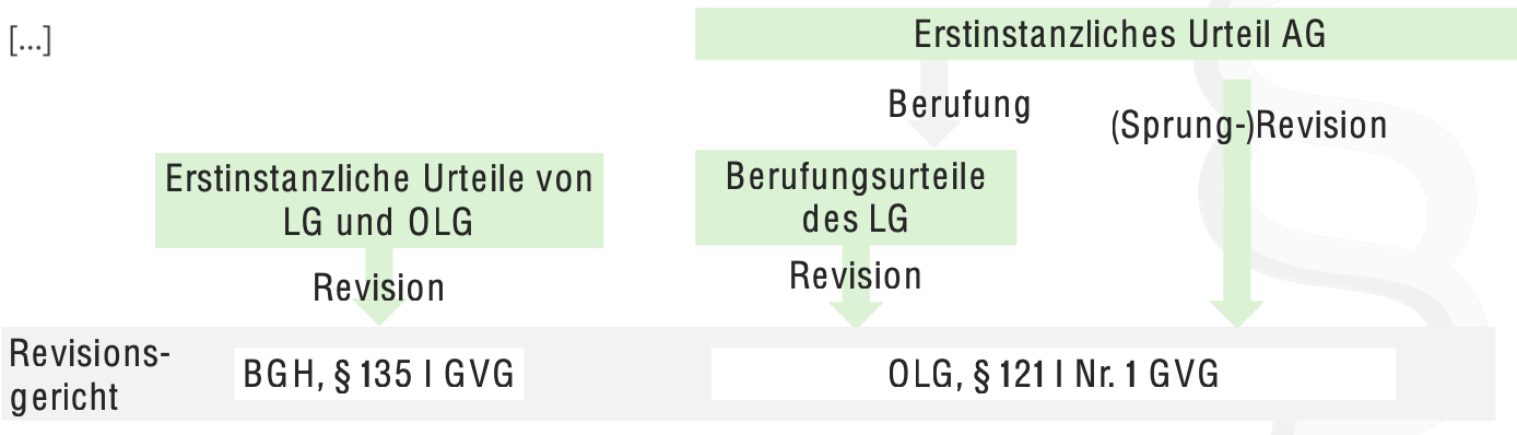 Revision § 333 StPO