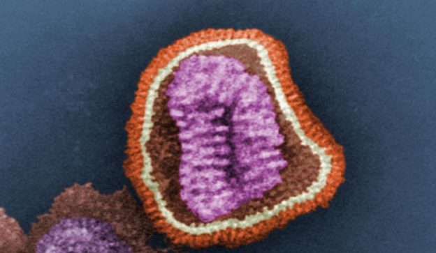 influenza virus particle color