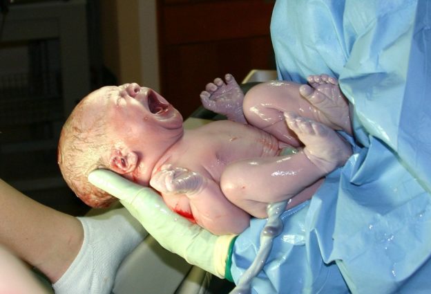 newborn female human infant