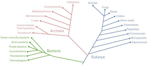 System-of-Life.-Relation