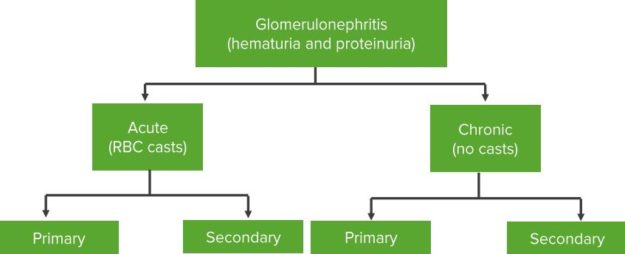 Glomerulonephritis-Pathology