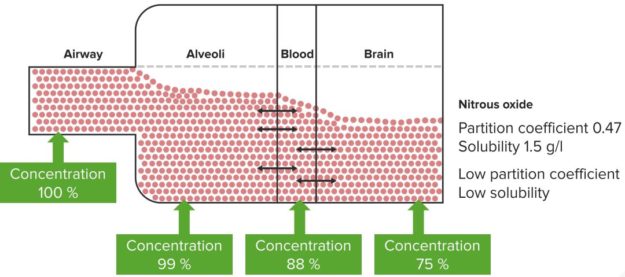 The-Blood-Gas-Partition-Coefficient