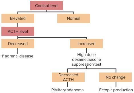 Stepwise-Approach-to-diagnose-cushing´s-syndrome