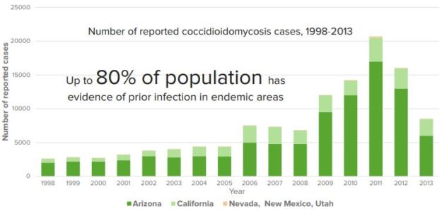 Epidemiology-of-Coccidiomycosis