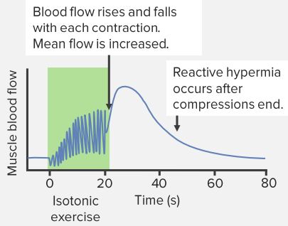 Isotonic-Resistance-Exercise