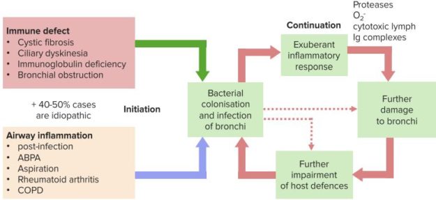 Causes-and-pathogenesis-of-Bronchiectasis