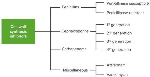 Pharmacology-Anti-infectives-1