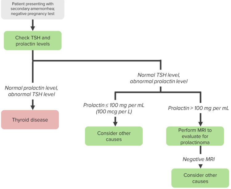 Hyperprolactinemia — Symptoms And Treatment | Medical Library